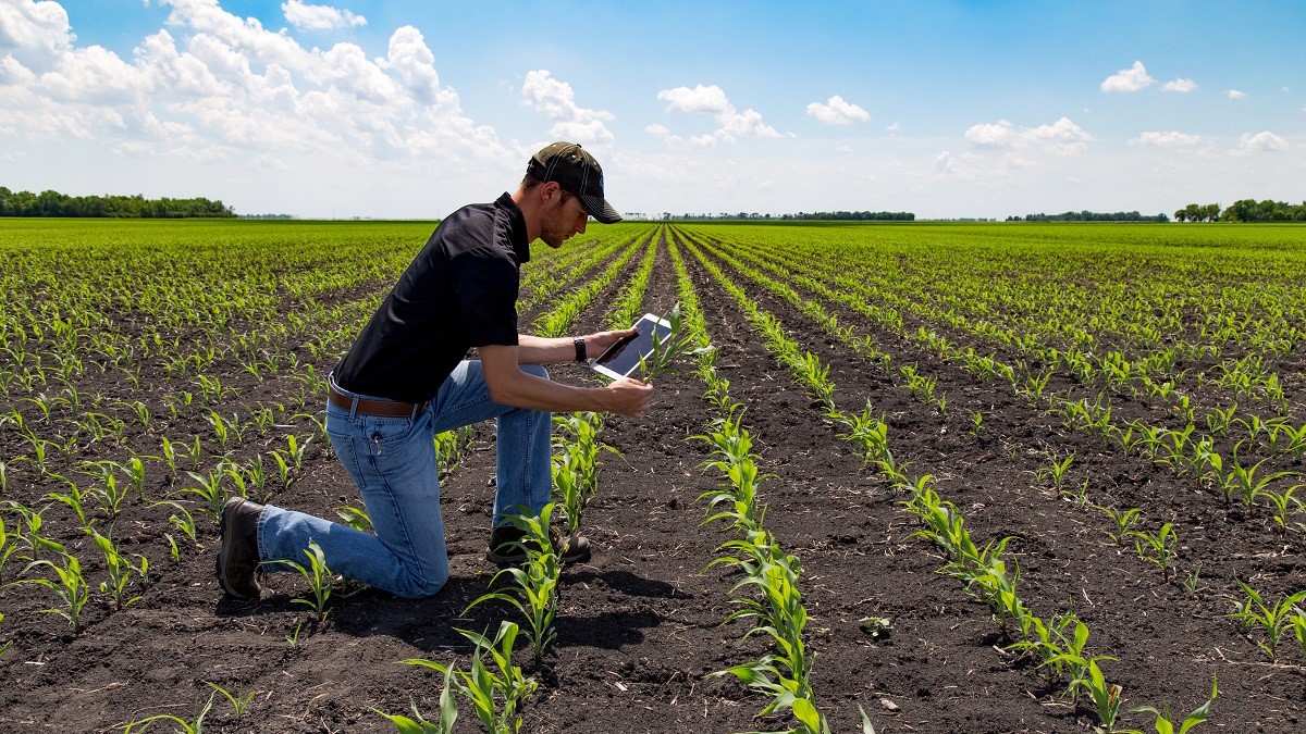 Planificación eficiente del riego por goteo claves para una gestión sostenible del agua|riego por goteo ejemplo